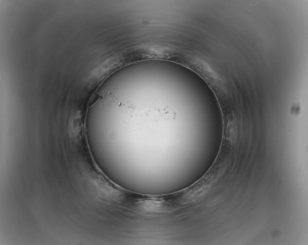 X0000097620318200803071515
