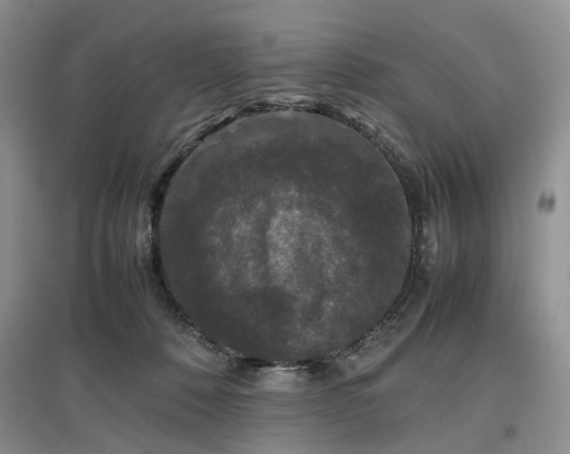 X0000097620320200803071515