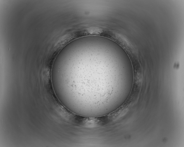 X0000097620321200803071515