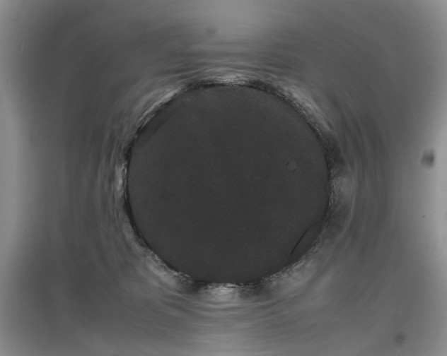 X0000097620325200803071515