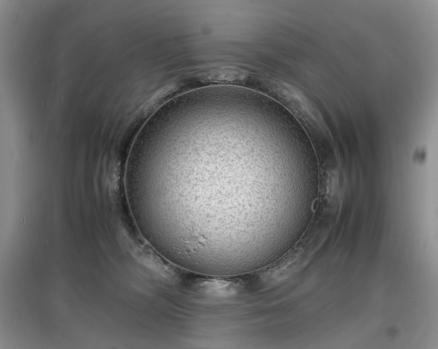 X0000097620326200803071515