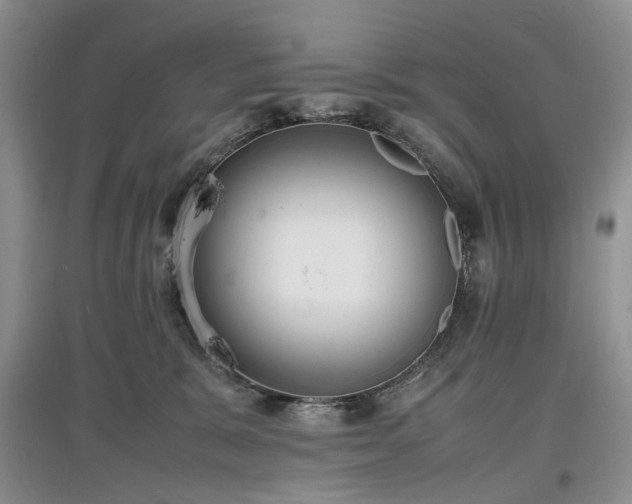 X0000097620327200803071515