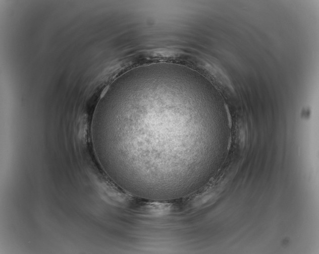 X0000097620328200803071515