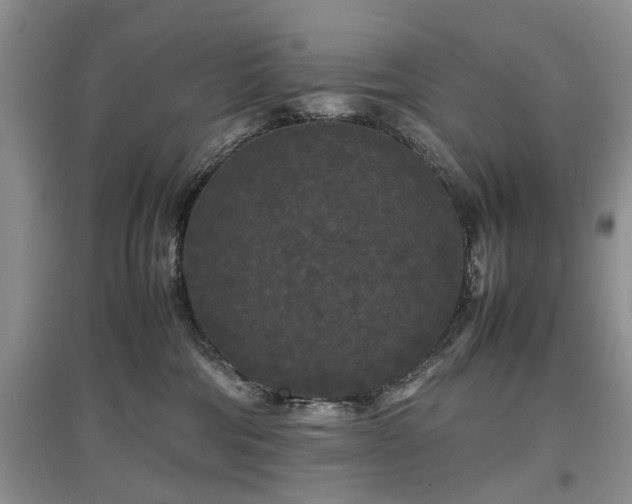 X0000097620330200803071515