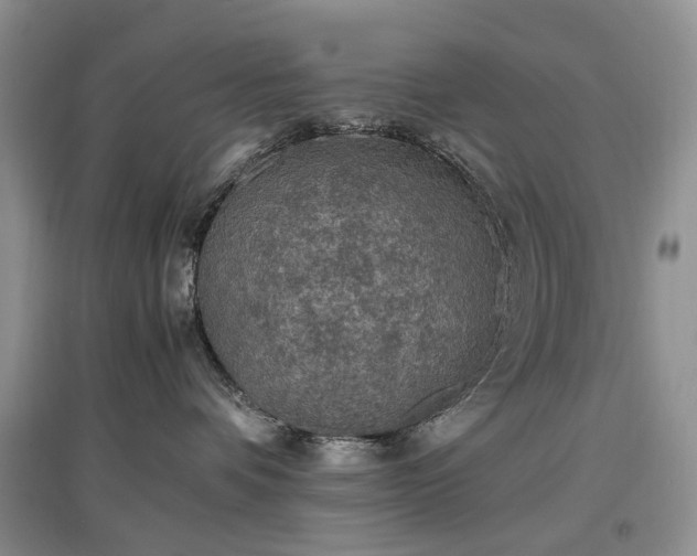 X0000097620336200803071515