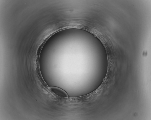 X0000097620338200803071515