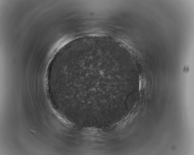 X0000097620339200803071515