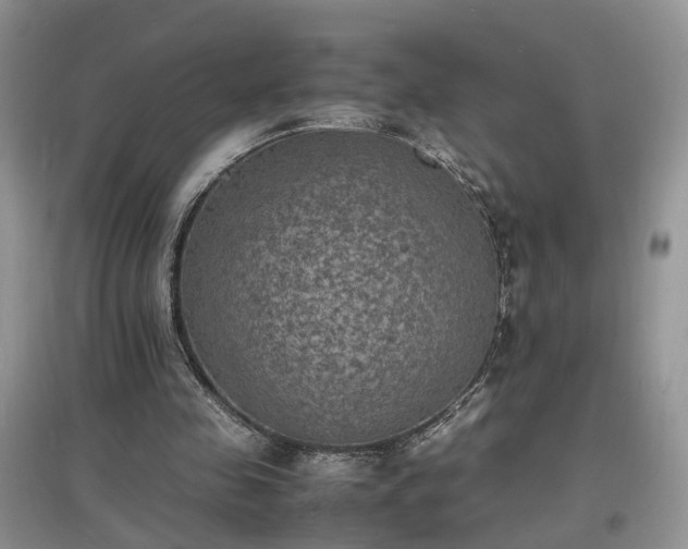 X0000097620341200803071515