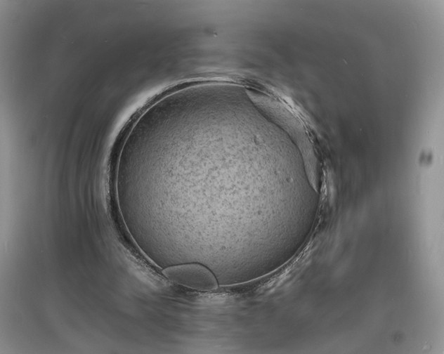 X0000097620342200803071515