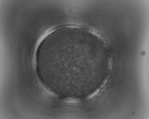 X0000097620343200803071515
