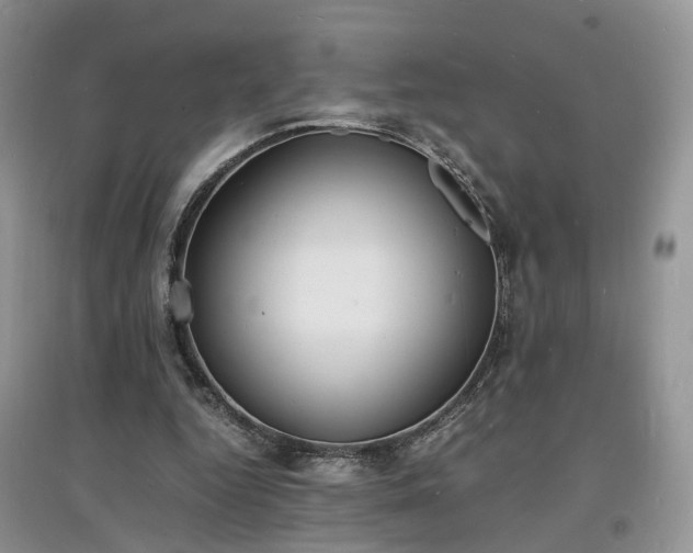 X0000097620344200803071515