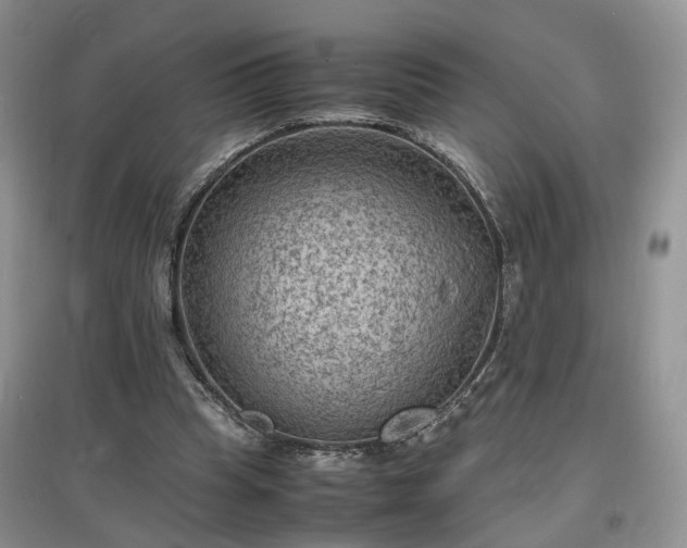 X0000097620345200803071515
