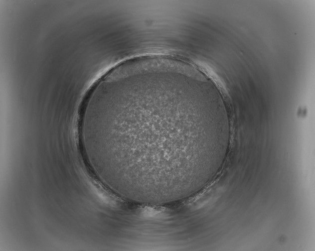 X0000097620346200803071515