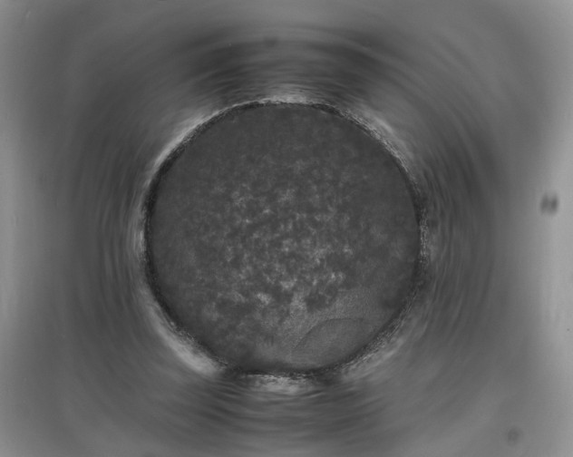 X0000097620347200803071515