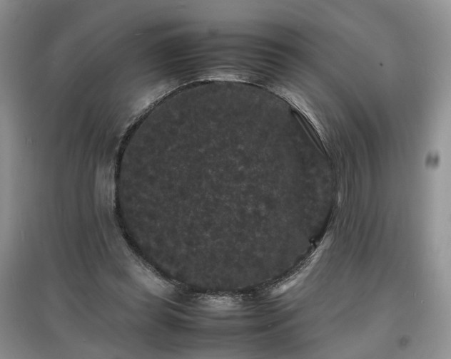 X0000097620349200803071515