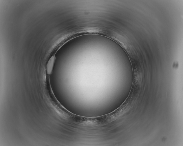 X0000097620350200803071515