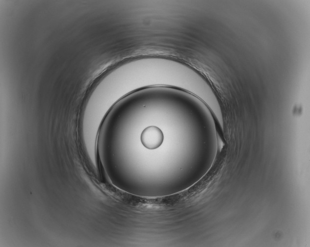 X0000097620352200803071515