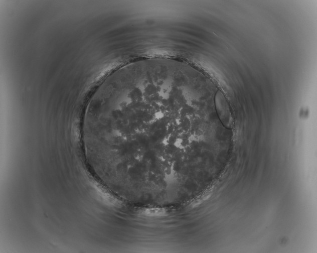 X0000097620353200803071515