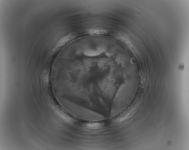 X0000097620357200803071515