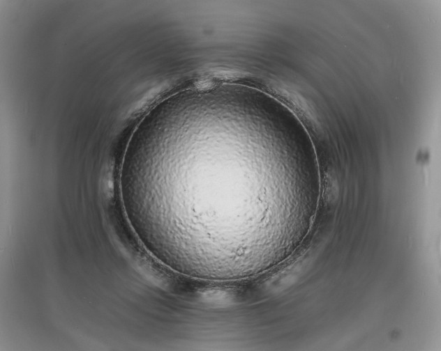 X0000097620358200803071515