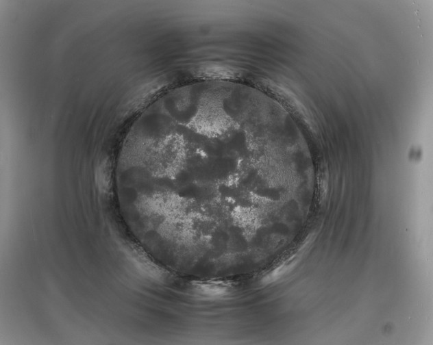 X0000097620359200803071515