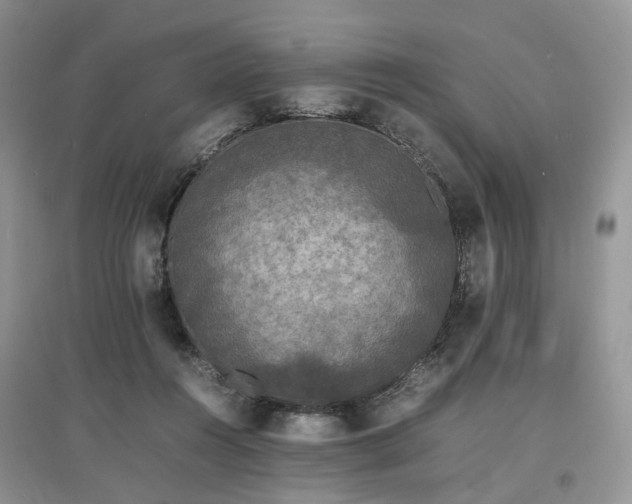 X0000097620360200803071515