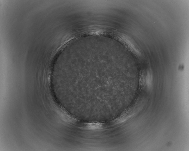 X0000097620363200803071515