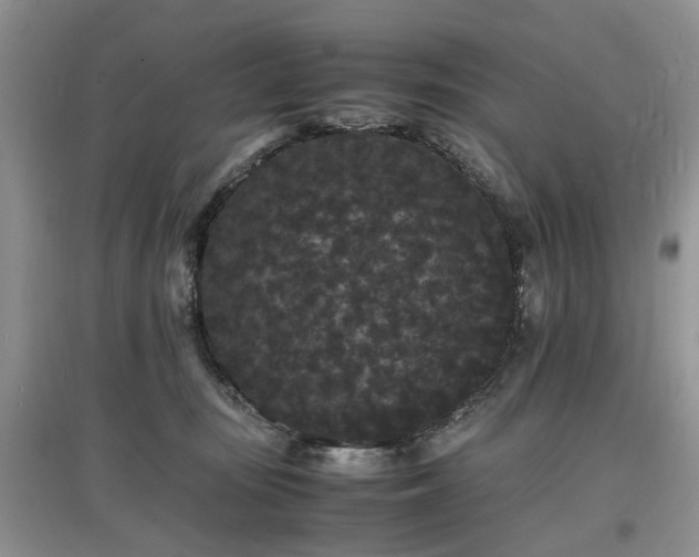 X0000097620371200803071515