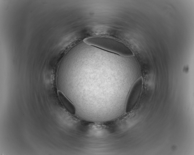 X0000097620372200803071515