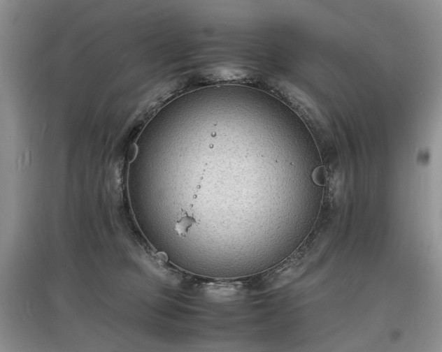 X0000097620373200803071515