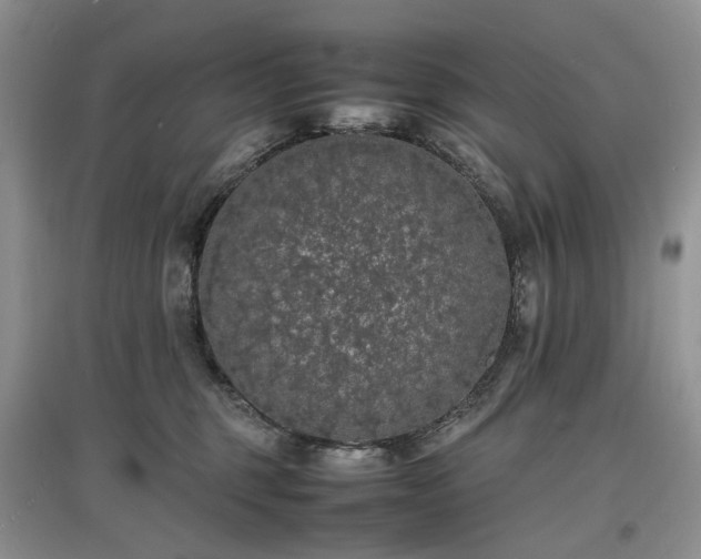 X0000097620375200803071515