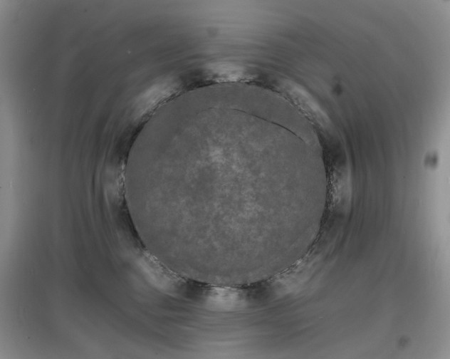 X0000097620376200803071515