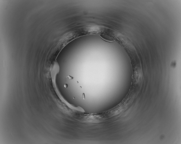 X0000097620379200803071515