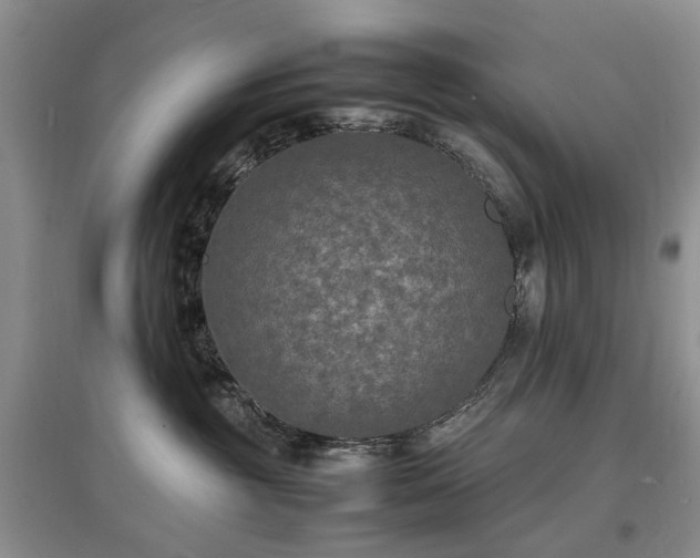 X0000097620381200803071515