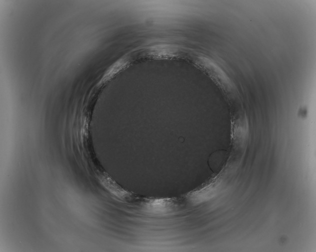 X0000097620382200803071515