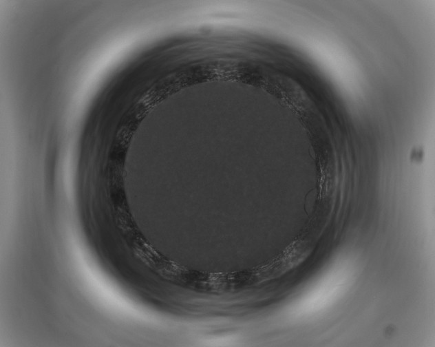 X0000097620383200803071515