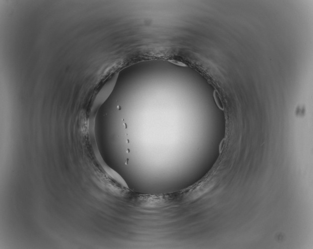 X0000097620384200803071515