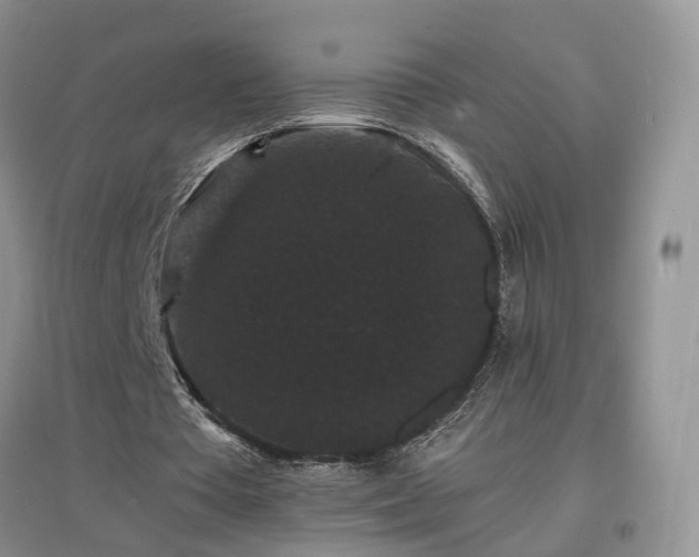 X0000097620385200803071515