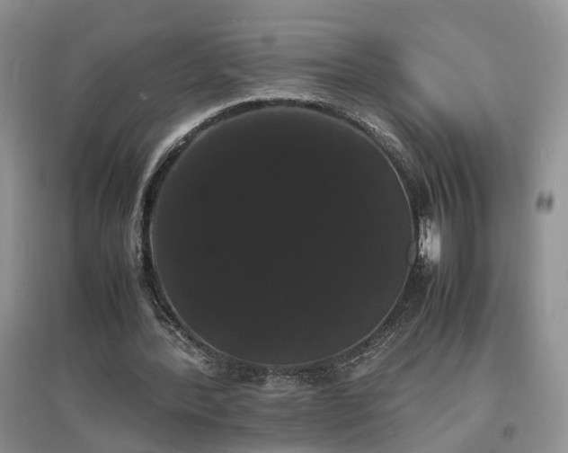 X0000097620388200803071515