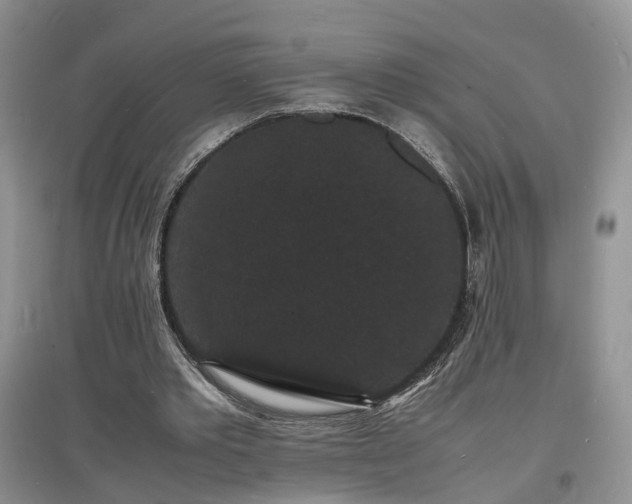 X0000097620389200803071515