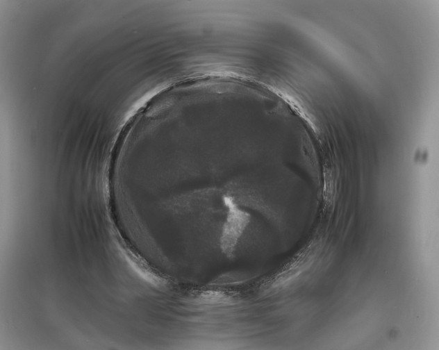 X0000097620390200803071515