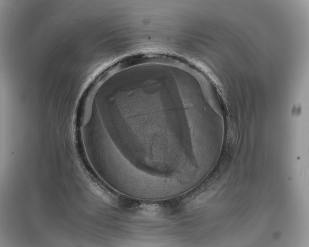 X0000097620391200803071515