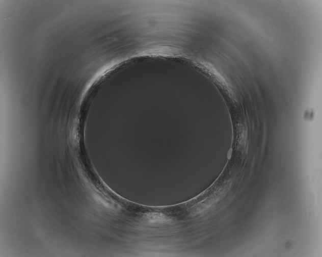 X0000097620392200803071515