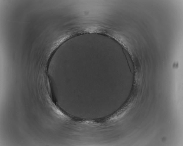 X0000097620393200803071514