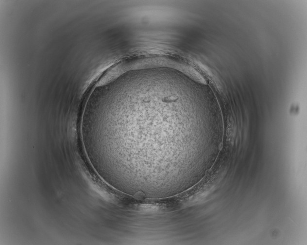 X0000097620394200803071514