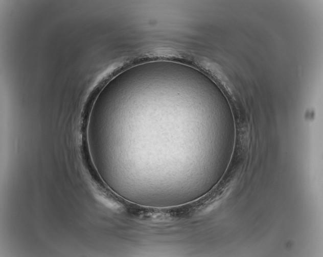 X0000097620395200803071514