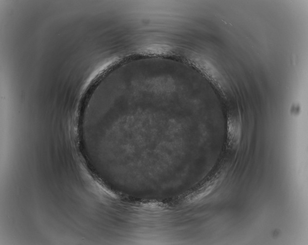 X0000097620396200803071514