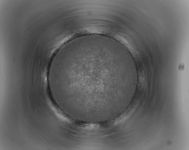 X0000097620398200803071514