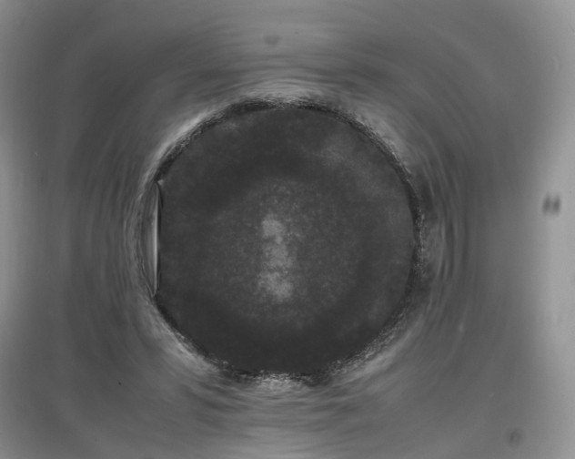 X0000097620399200803071514