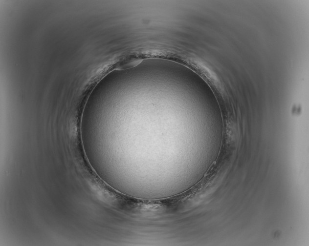 X0000097620401200803071514